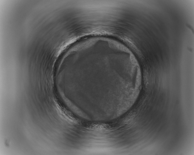 X0000102790488200809151128