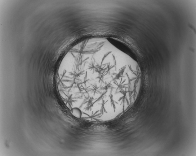 X0000102790491200809151128