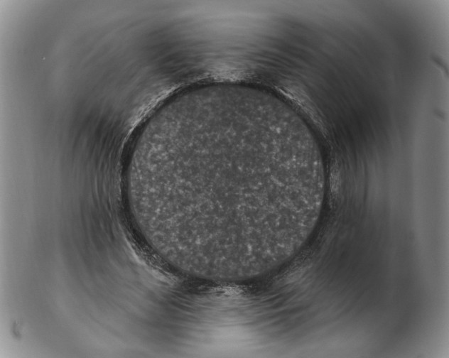 X0000102790492200809151128