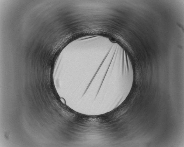 X0000102790493200809151128