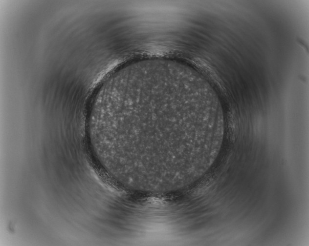 X0000102790496200809151128