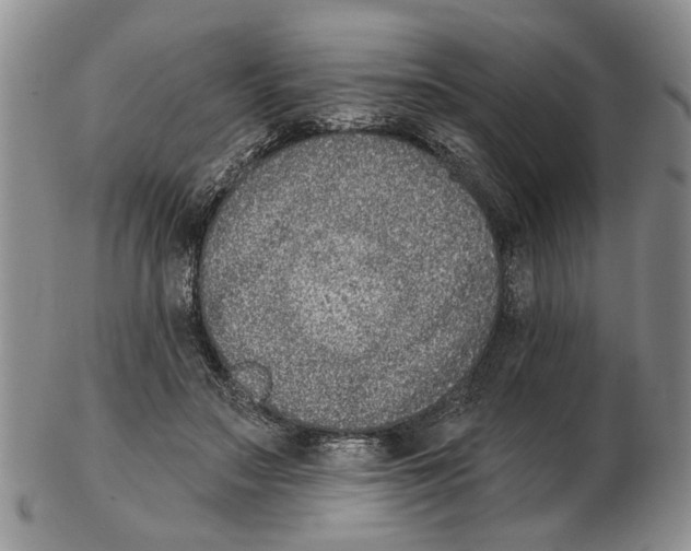 X0000102790499200809151128