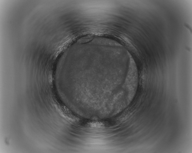 X0000102790500200809151128