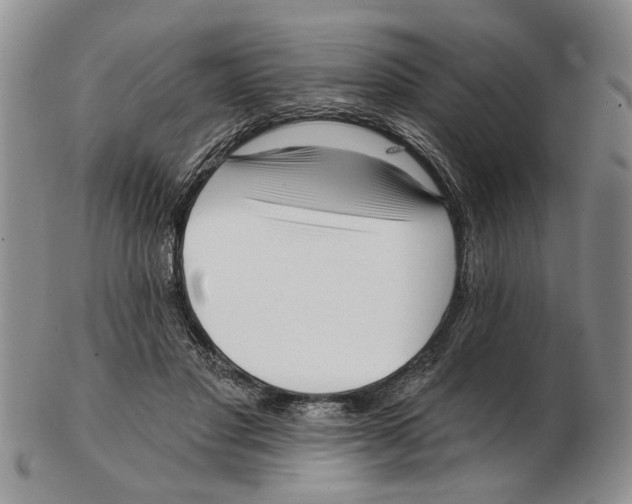 X0000102790501200809151128