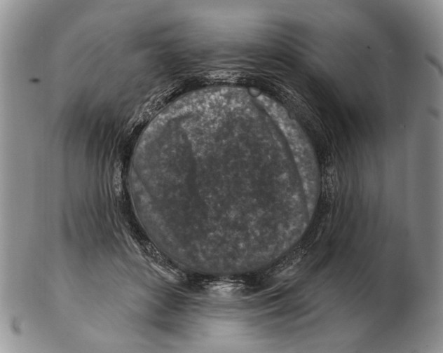 X0000102790504200809151128