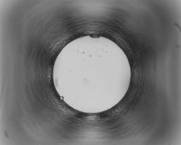 X0000102790505200809151128