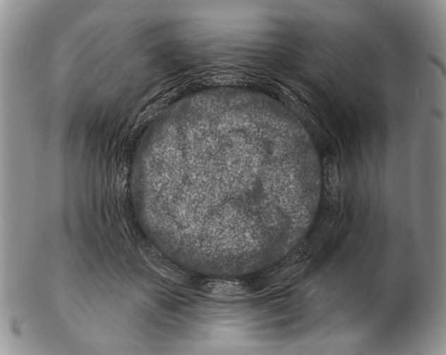 X0000102790507200809151128