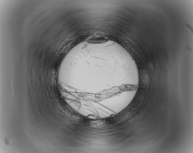 X0000102790511200809151128