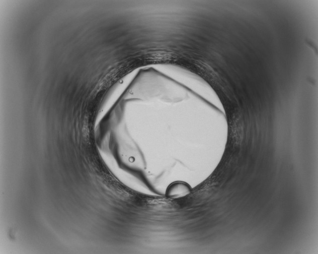 X0000102790516200809151128