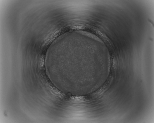 X0000102790517200809151128