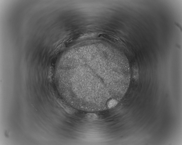 X0000102790519200809151128