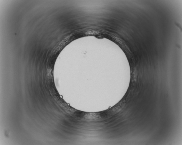 X0000102790521200809151128