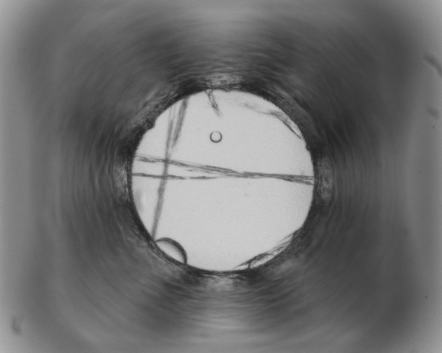 X0000102790523200809151128