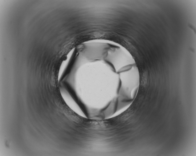 X0000102790524200809151128