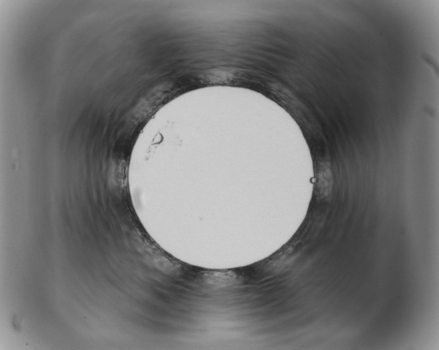 X0000102790525200809151128