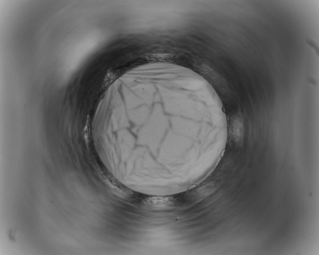 X0000102790526200809151128