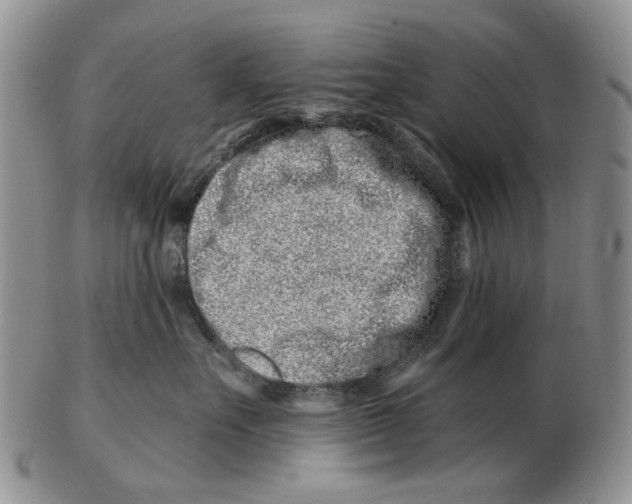 X0000102790527200809151128