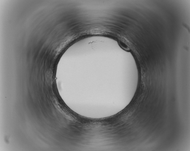 X0000102790530200809151127