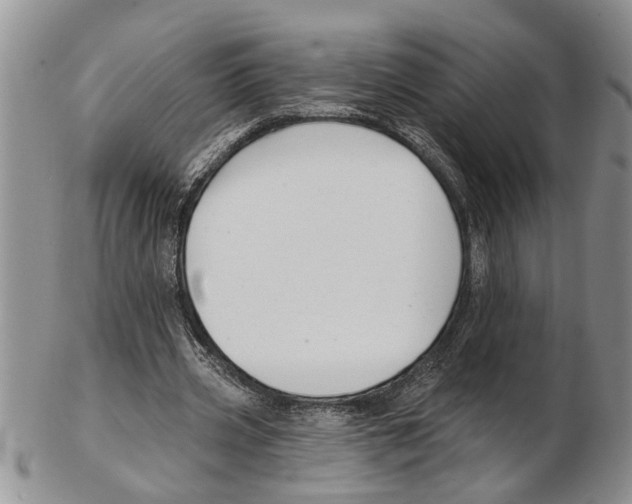 X0000102790533200809151127