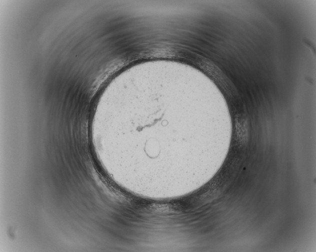 X0000102790534200809151127