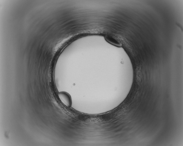 X0000102790536200809151127