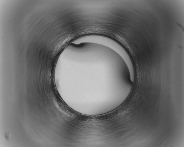 X0000102790538200809151127