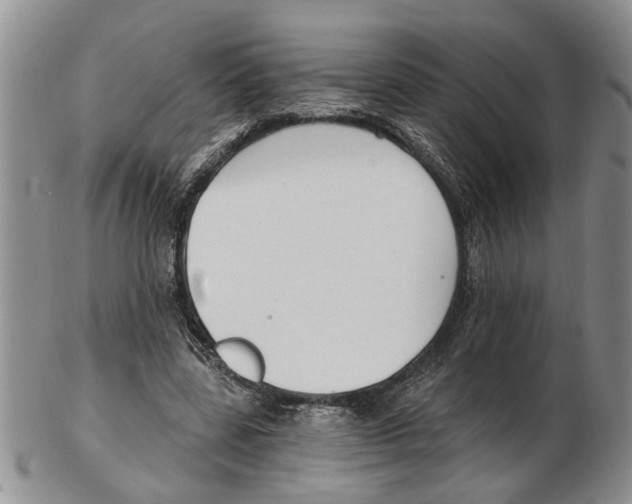 X0000102790539200809151127