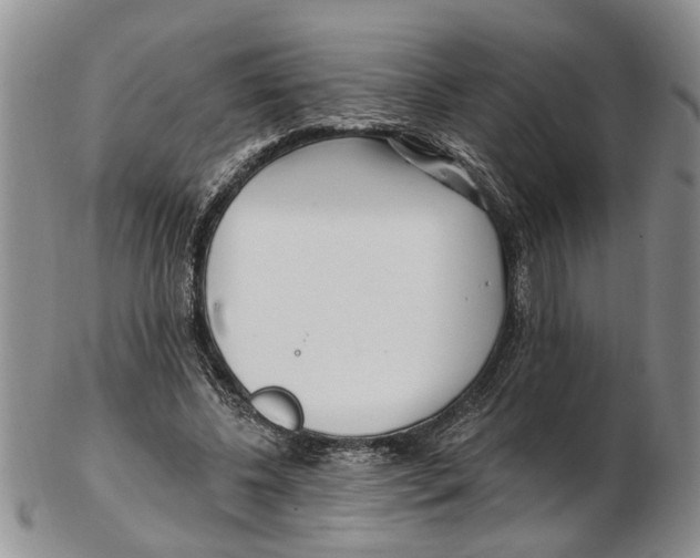 X0000102790540200809151127