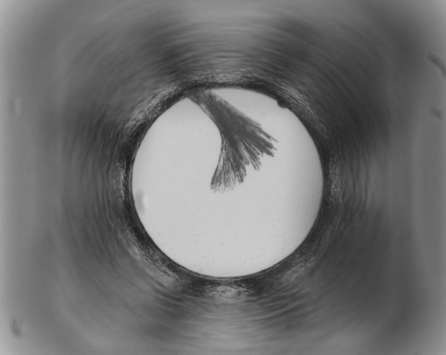 X0000102790542200809151127