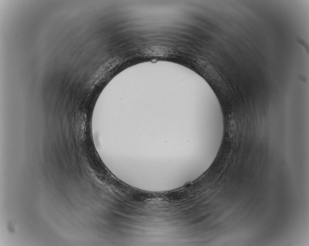 X0000102790544200809151127