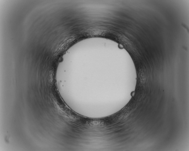 X0000102790546200809151127