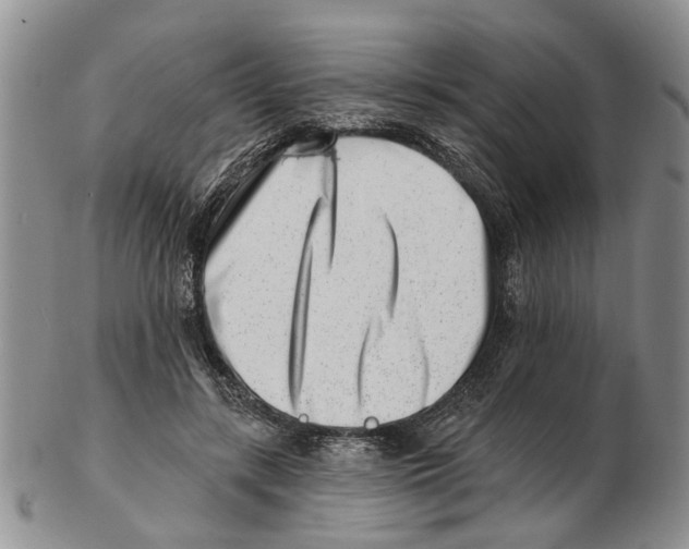 X0000102790547200809151127