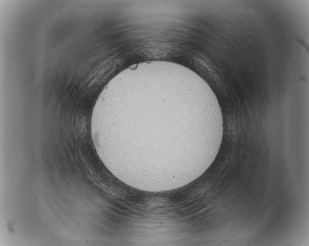 X0000102790549200809151127