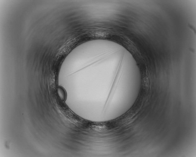 X0000102790552200809151127