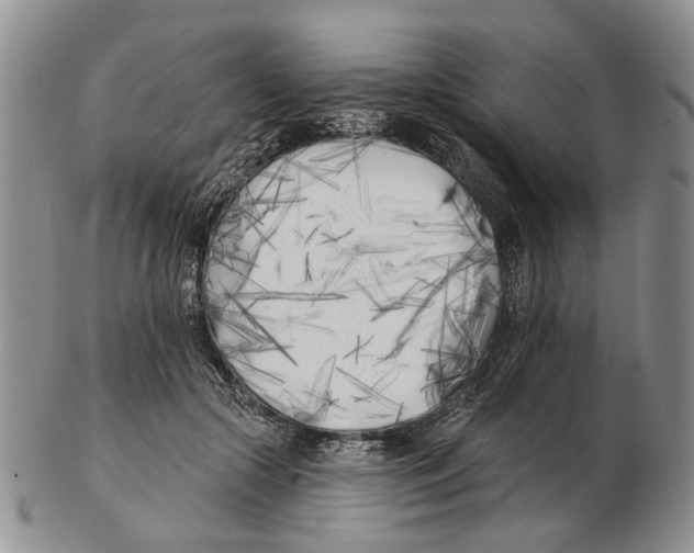 X0000102790553200809151127