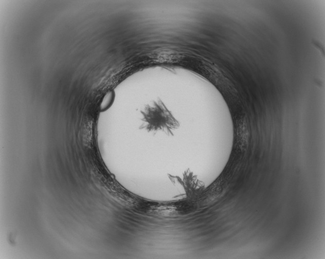 X0000102790554200809151127