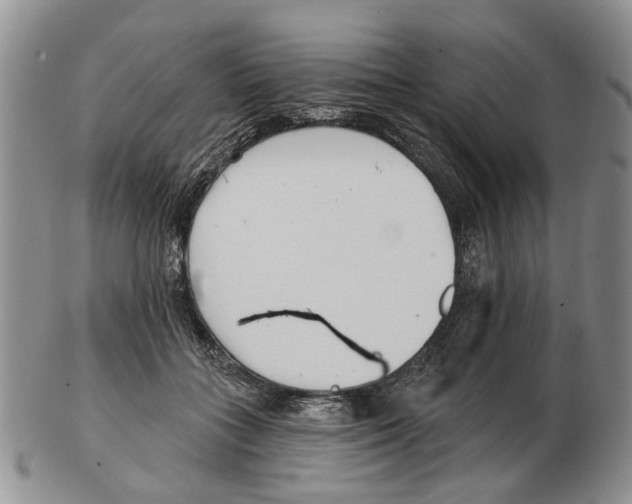 X0000102790555200809151127