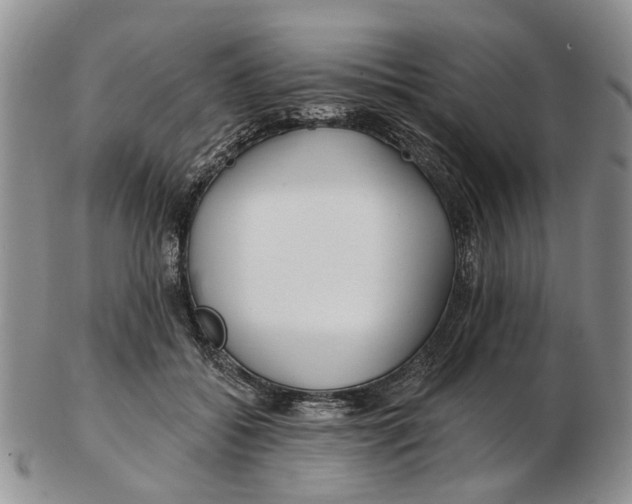 X0000102790556200809151127