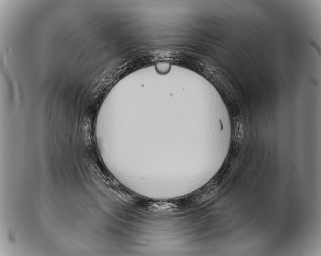 X0000102790557200809151127