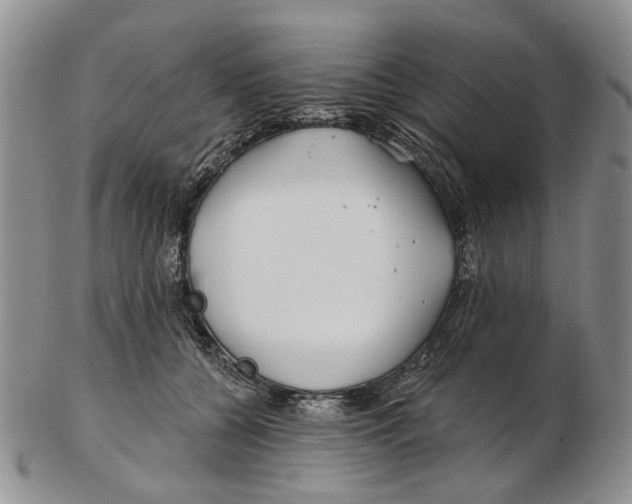 X0000102790560200809151127