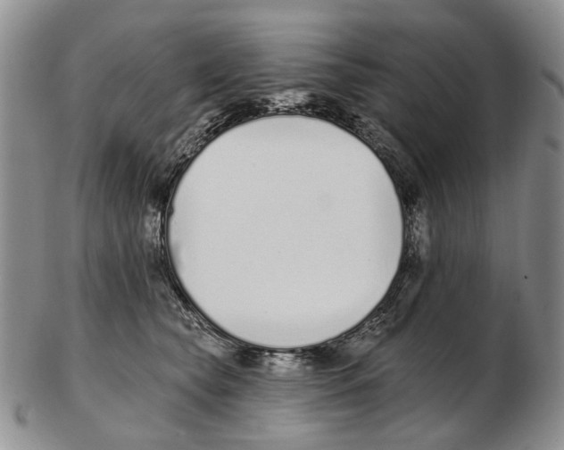 X0000102790565200809151127