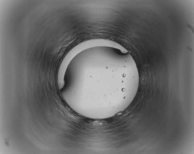 X0000102790566200809151127