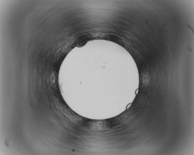 X0000102790567200809151127