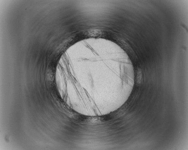 X0000102790569200809151127