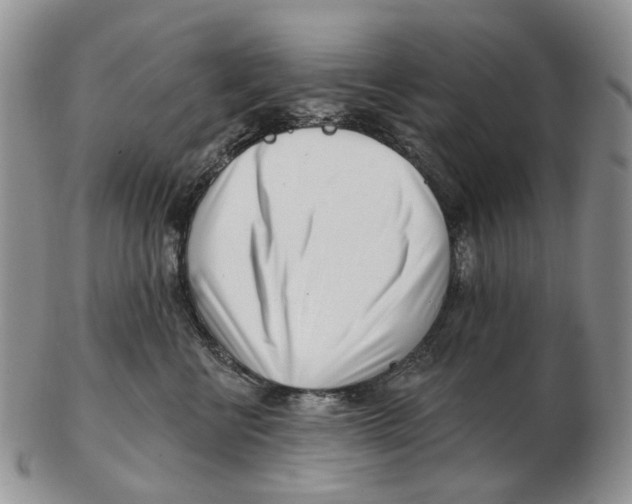 X0000102790570200809151127