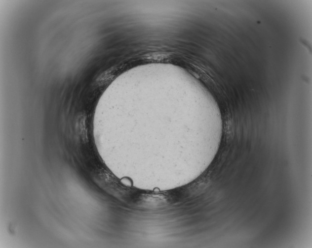 X0000102790572200809151127