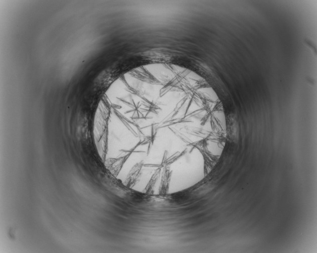 X0000102790573200809151127