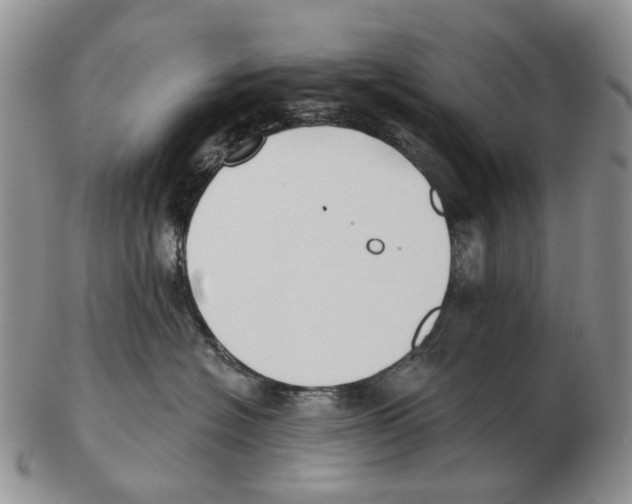 X0000102790574200809151127