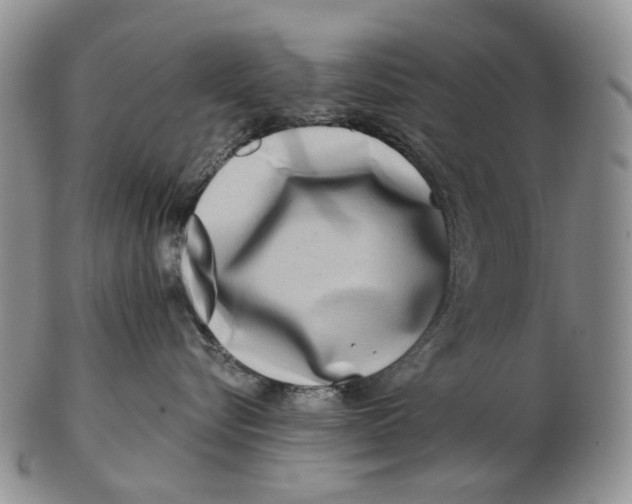 X0000102790576200809151127