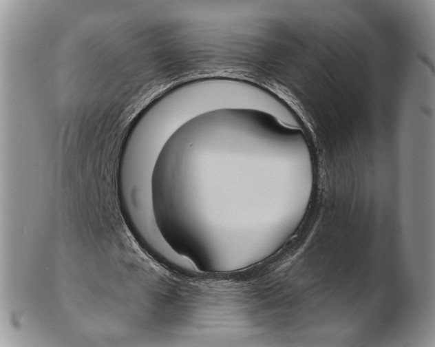 X0000102790577200809151127